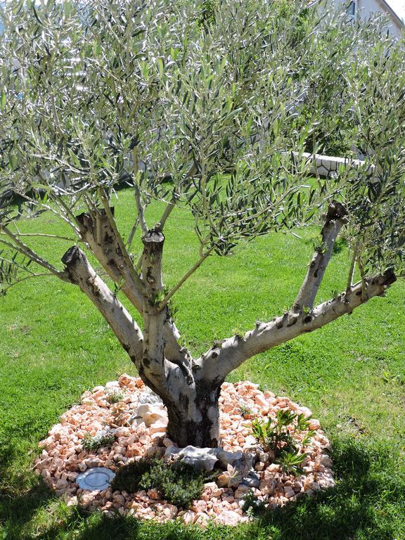 Apartments Villa Residenca Novi Vinodolski Luaran gambar